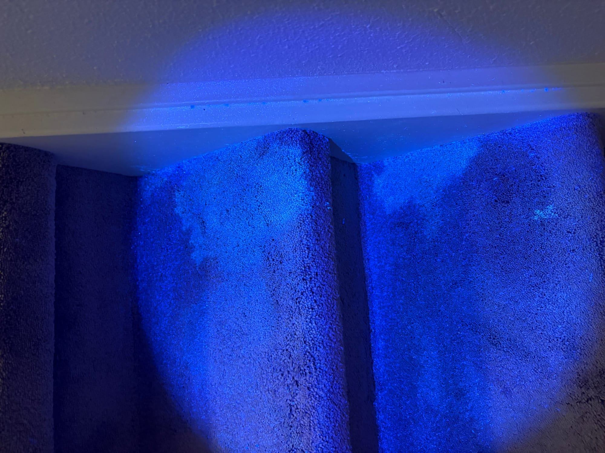UV-detectie van urine